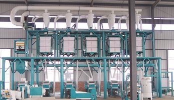 wheat flour milling plant.jpg