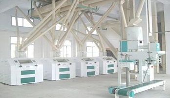 wheat milling plant.jpg