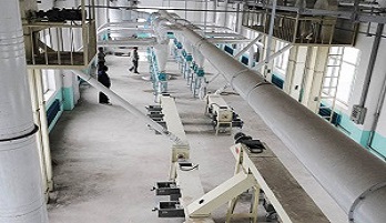 wheat flour processing plant.jpg