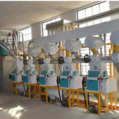 50TPD Wheat Flour Mill Machine Project