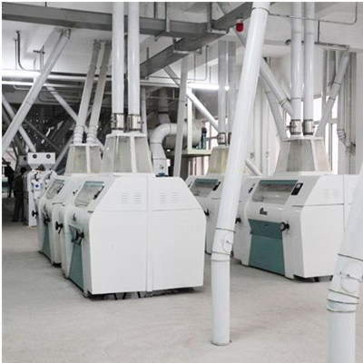 300TPD Wheat Flour Mill Project