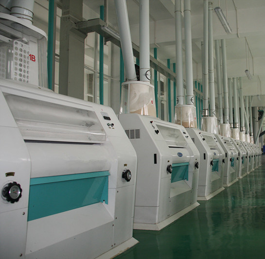 180TPD Wheat Flour Processing Plant