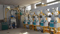 50TPD Wheat Flour Mill Machine Project