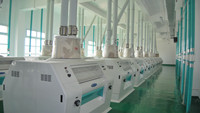 300TPD Wheat Flour Mill Project
