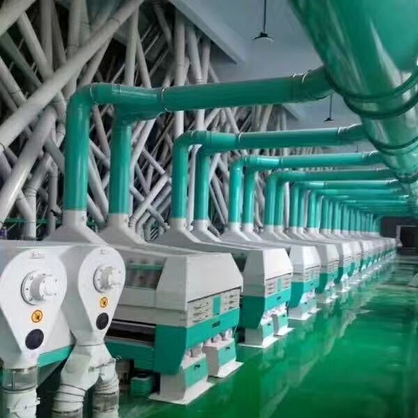 250TPD Wheat Milling Plant