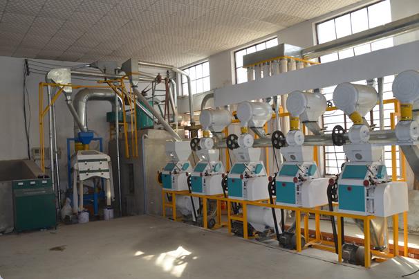 50t wheat flour milling plant